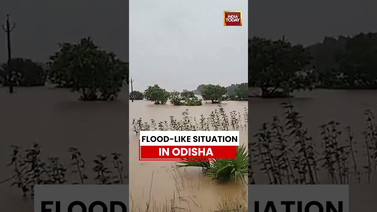 Flood: Bhadrak Flood-Like Situation as River Water Inundates Villages #shorts #odisha #flashflood
