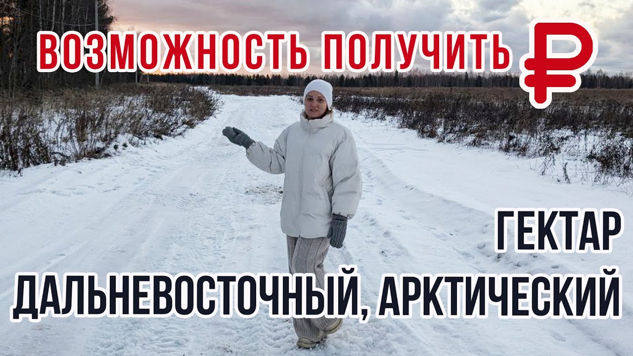 Дальневосточный и арктический гектар - стратегии заработка | Кто заплатит миллионы?