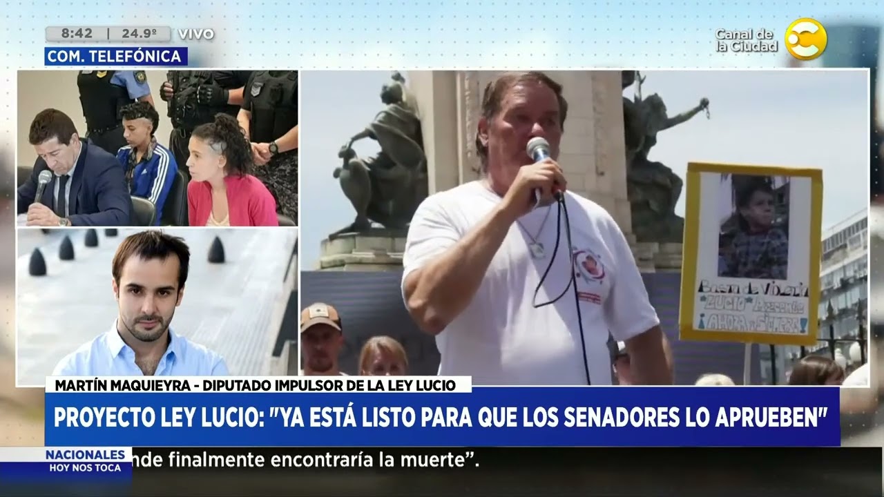Ley Lucio: ¿De qué se trata el proyecto aprobado? - Martín Maquieyra