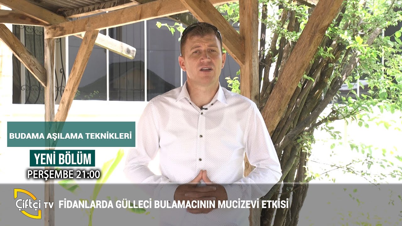 Gülleci Bulamacının Mucizevi Etkileri! - Budama Aşılama Teknikleri