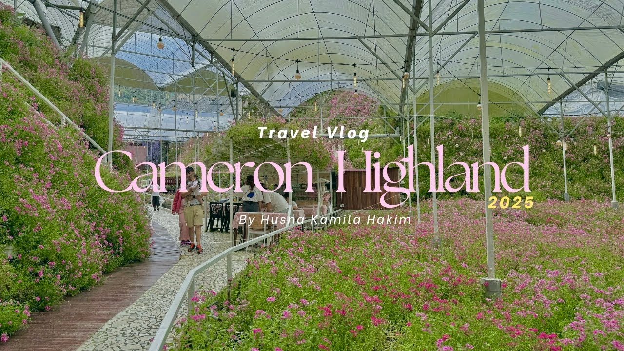 Diary #33🍓CAMERON HIGHLAND 🎀 Abang Strawberry | Century Pines Resort | Flora Park | Zinnia Residence