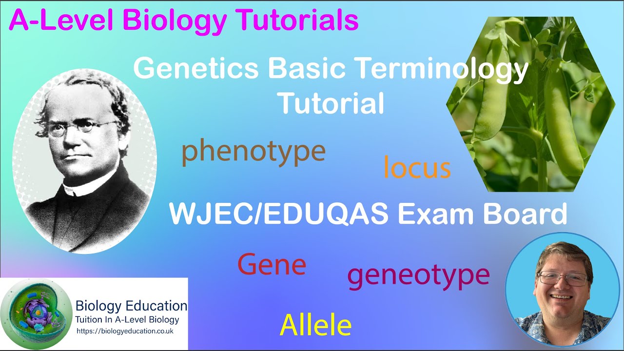Genetics Terminology.  Inheritance A2 Biology WJEC EDUQAS