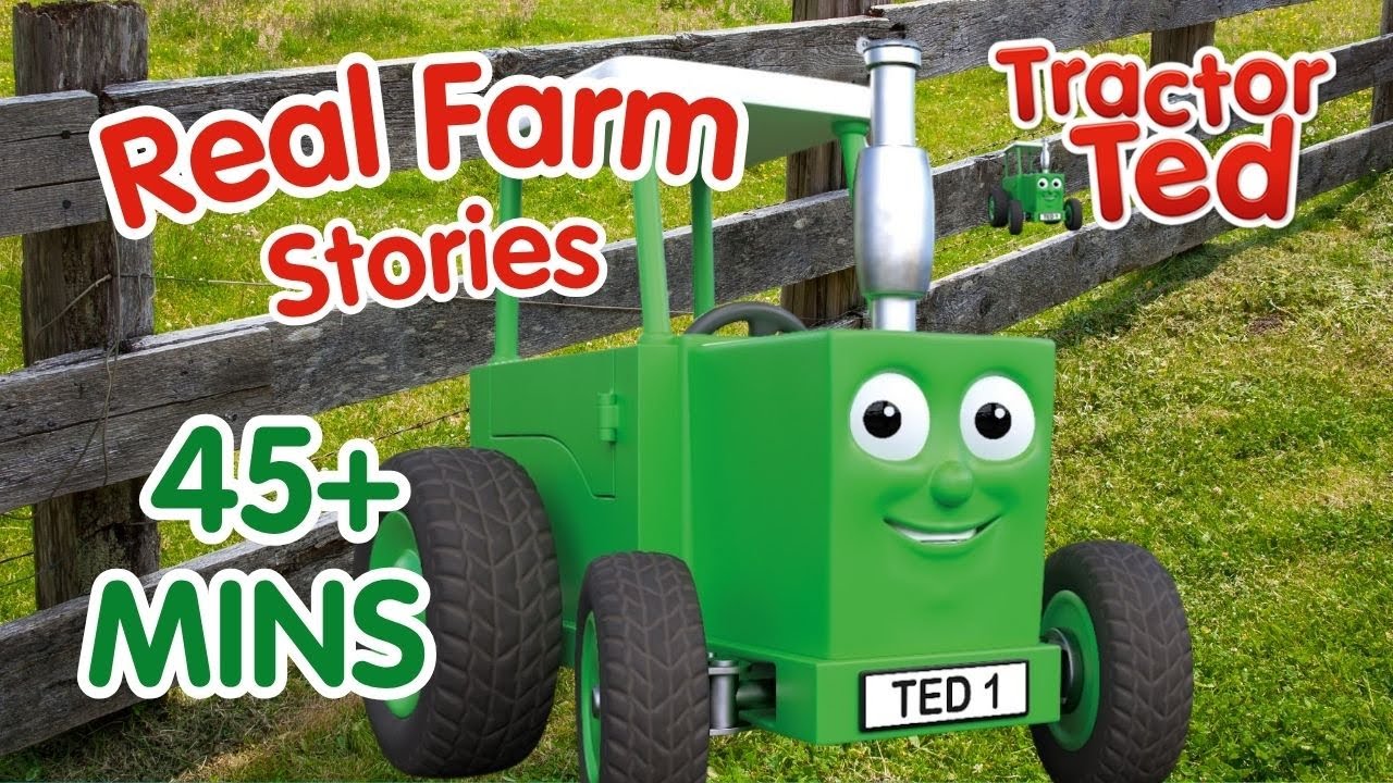 Real Farm Stories With Tractor Ted 🚜 Tractor Ted Full Episode Compilation