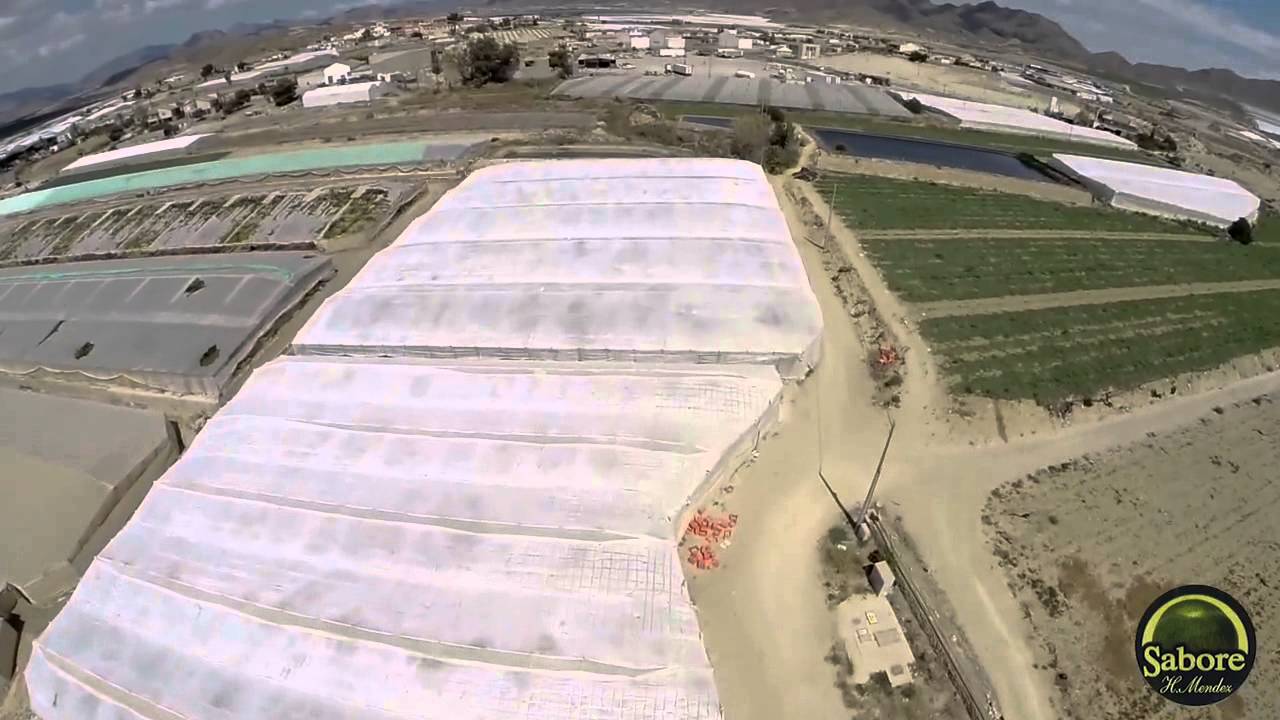 Fincas Agr&iacute;colas H. M&eacute;ndez Mazarr&oacute;n - Murcia