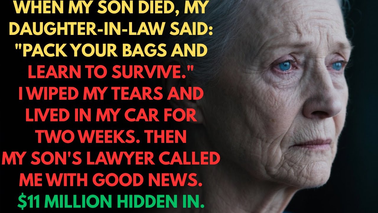 “Now Pack Your Bags and Learn to Survive,” My Daughter in Law Said After My Son’s Death… Not Knowing