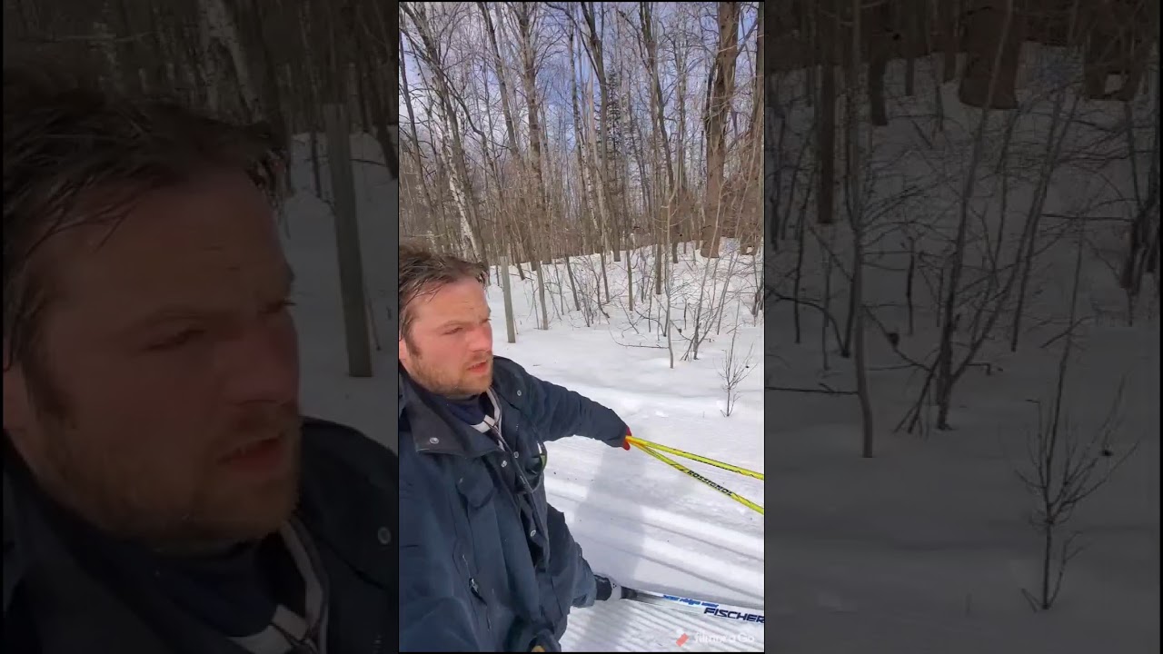 Descente en ski de fond sur le petit train du nord
