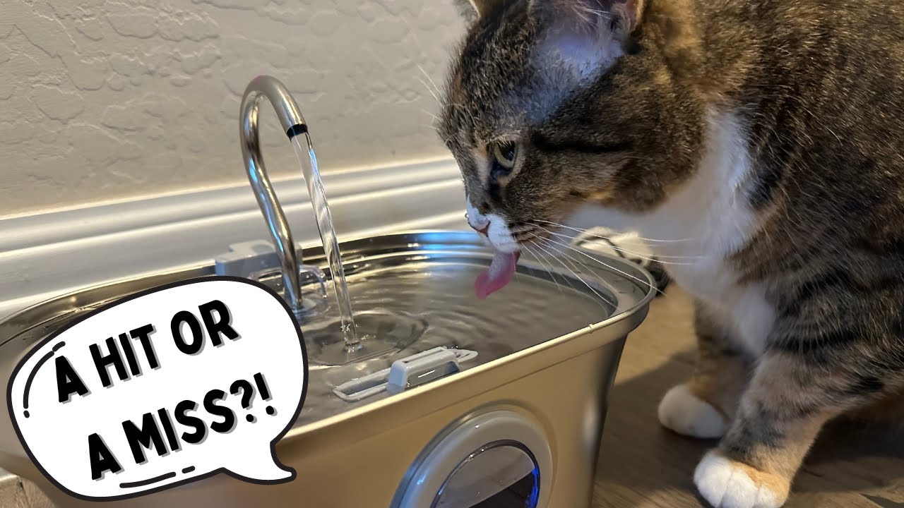 Stainless Steel Cat Water Fountain, 108oz/3.2L Automatic Pet Fountain Dog Water Dispenser Review