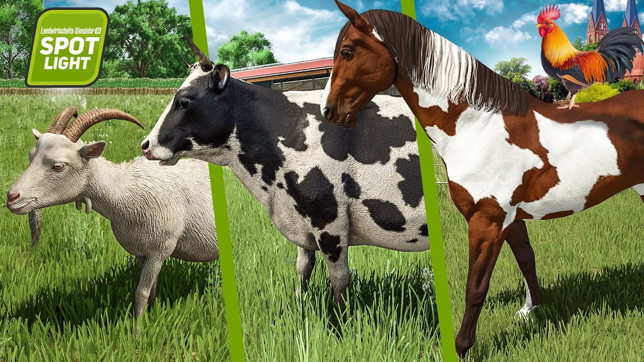 LS25: TIERE - Ziegen, Kühe, Pferde, Büffel, Hühner, Schweine und Schafe im FARMING SIMULATOR 25