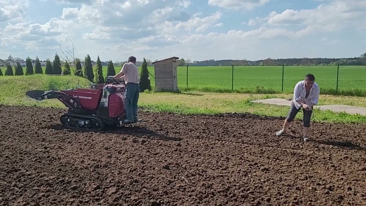 Dempr Yanmar C08