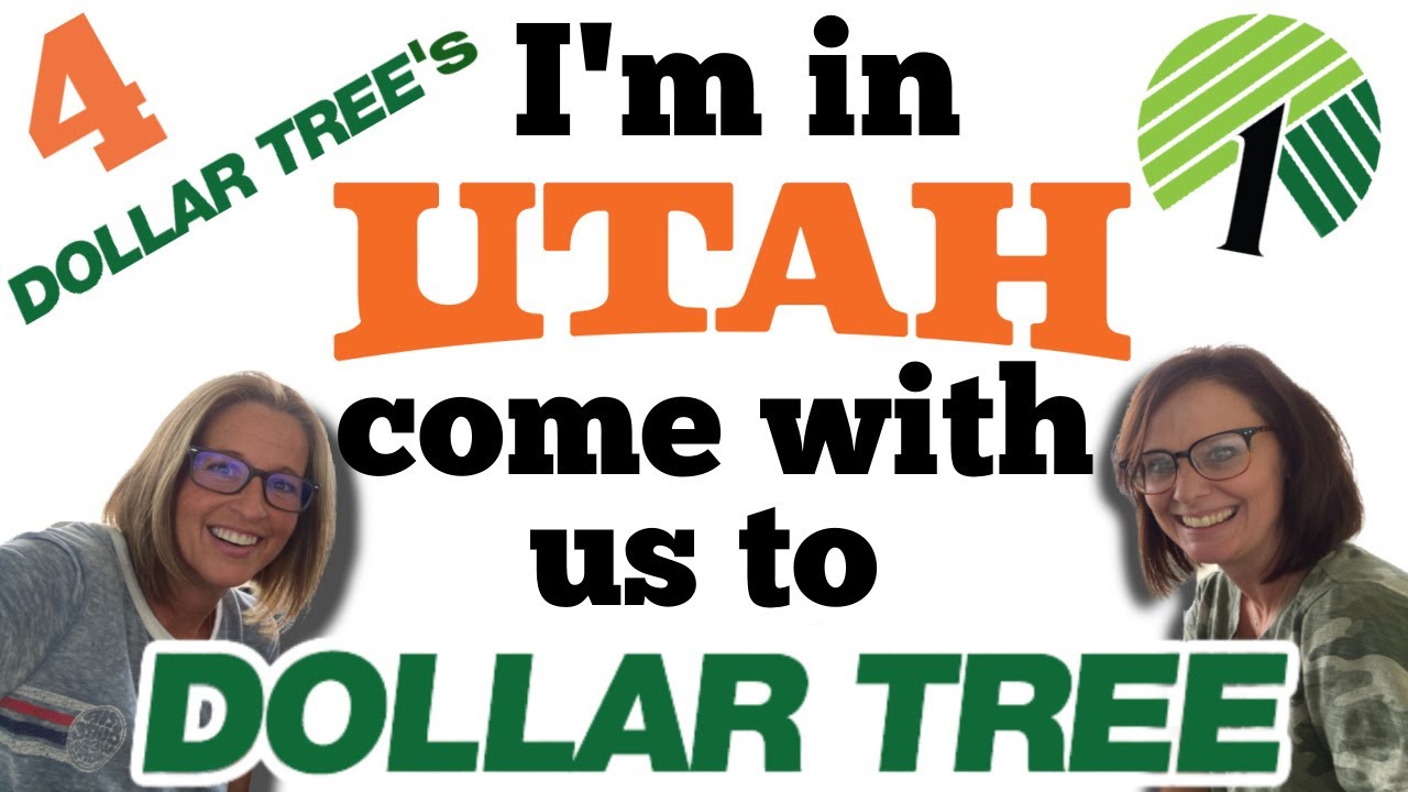 I'm in UTAH! Come with me to 4 Dollar Tree's To see what New!