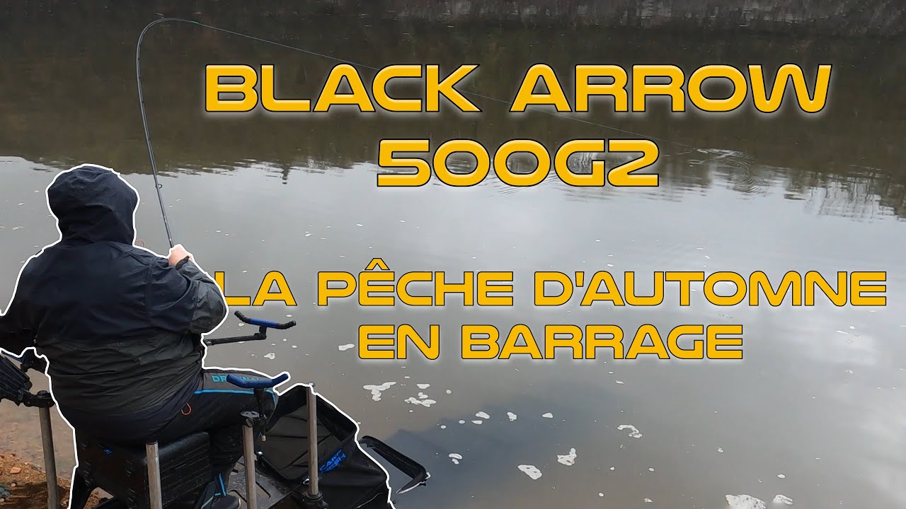 Pêche de barrage en Automne avec la SENSAS 500G2 11 pieds #feederfishing #skimmer #bream  #pêche