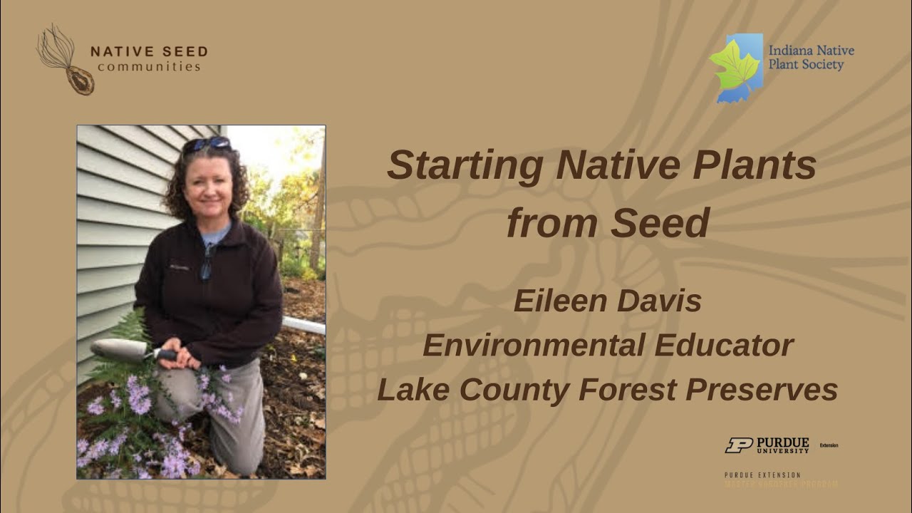 Starting Native Plants from Seed with Eileen Davis