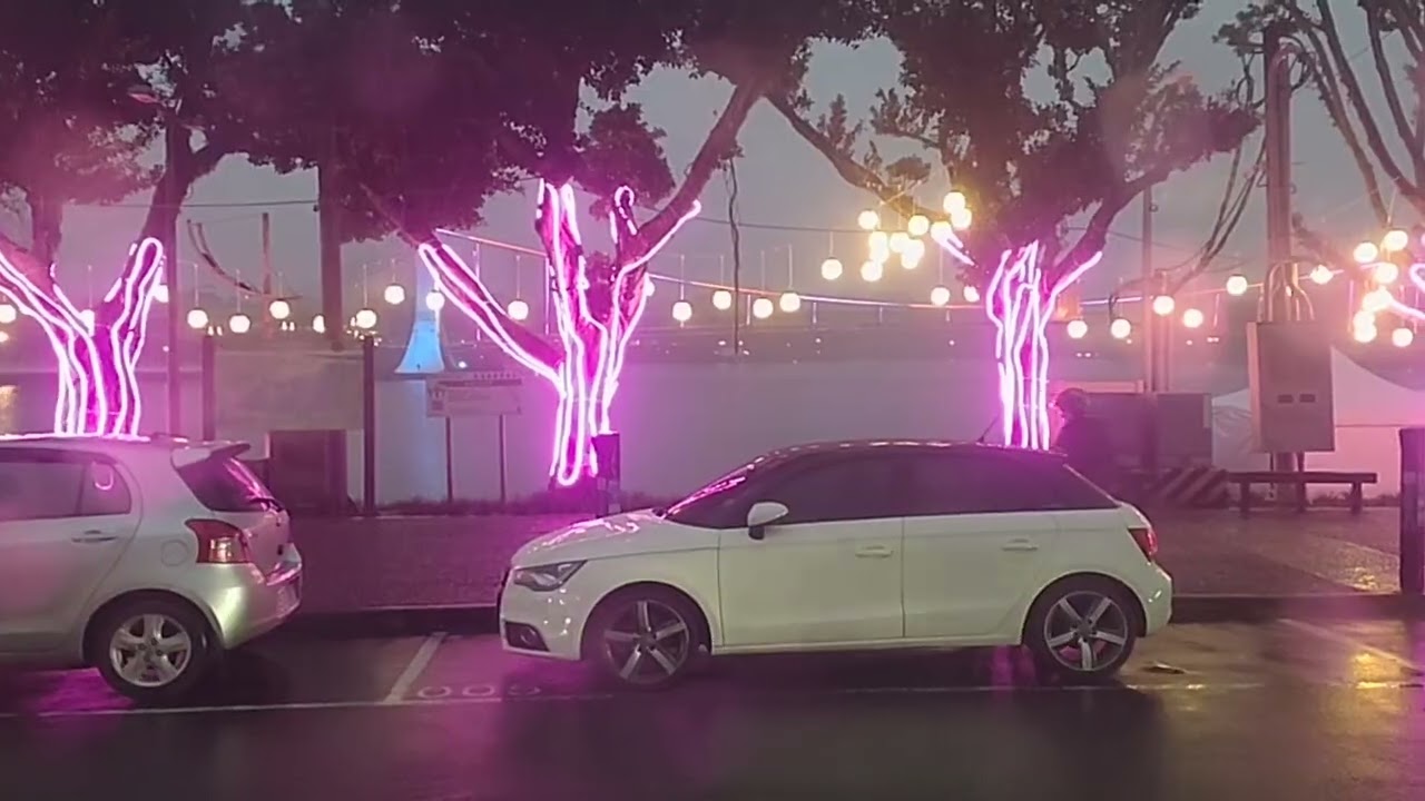 20260206 新埔幸福巴士 新埔龍潭線 龍潭大池 傍晚景 側錄 MOV 9053