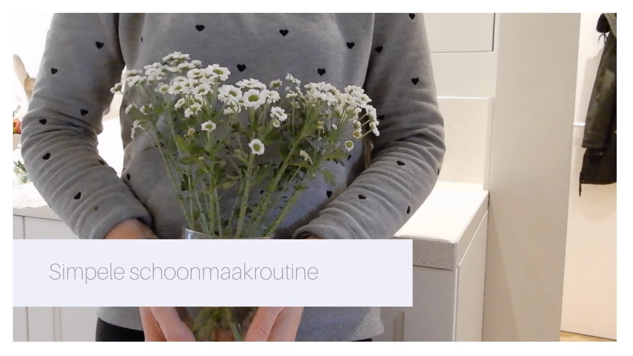 Samen SCHOONMAKEN -  Simpele ROUTINE