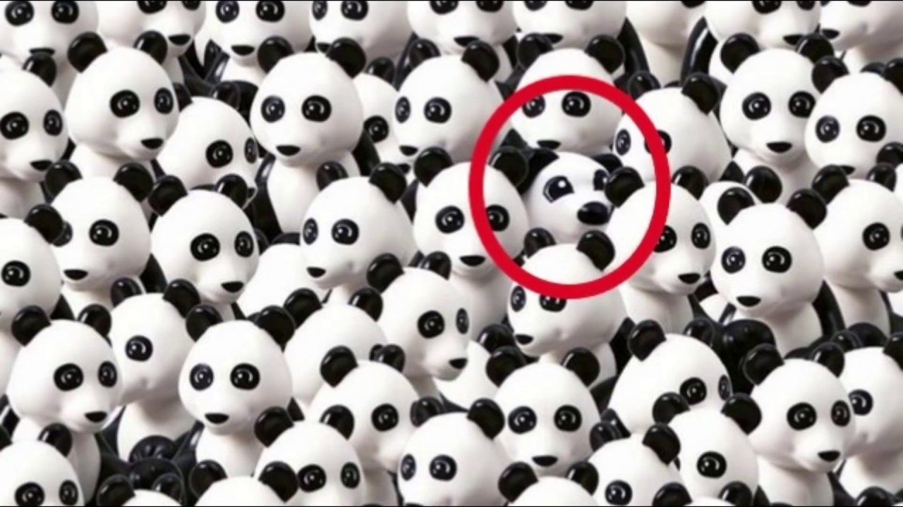 TEST DE INTELIGENTA ( Numai un geniu poate rezolva asta in 20s )