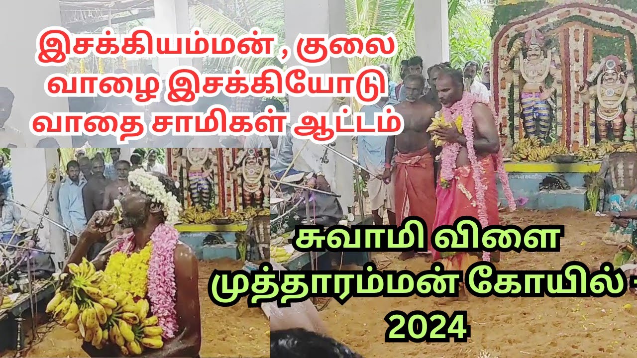 இசக்கியம்மன் , குலை வாழை இசக்கியோடு வாதை சாமிகள் ஆட்டம் - சுவாமிவிளை முத்தாரம்மன் கோயில்கொடை - 2024