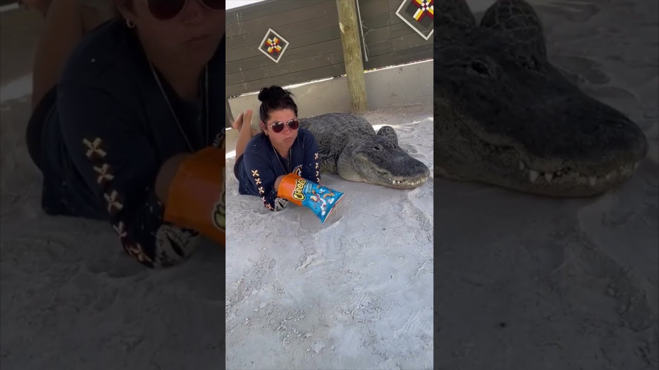Только во Флориде сборник с Omgitswicks