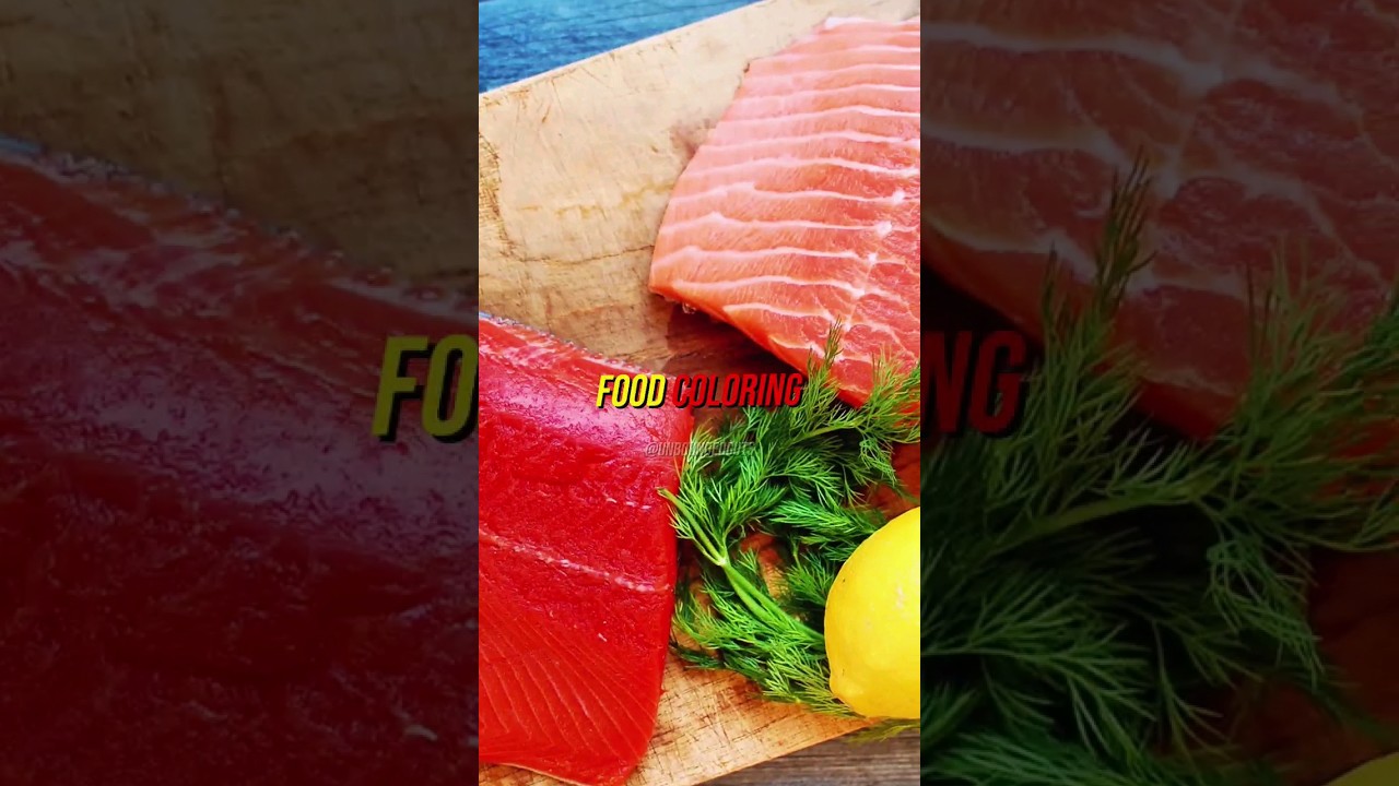 INSANE FACT ABOUT SALMON #joerogan #jre #shorts