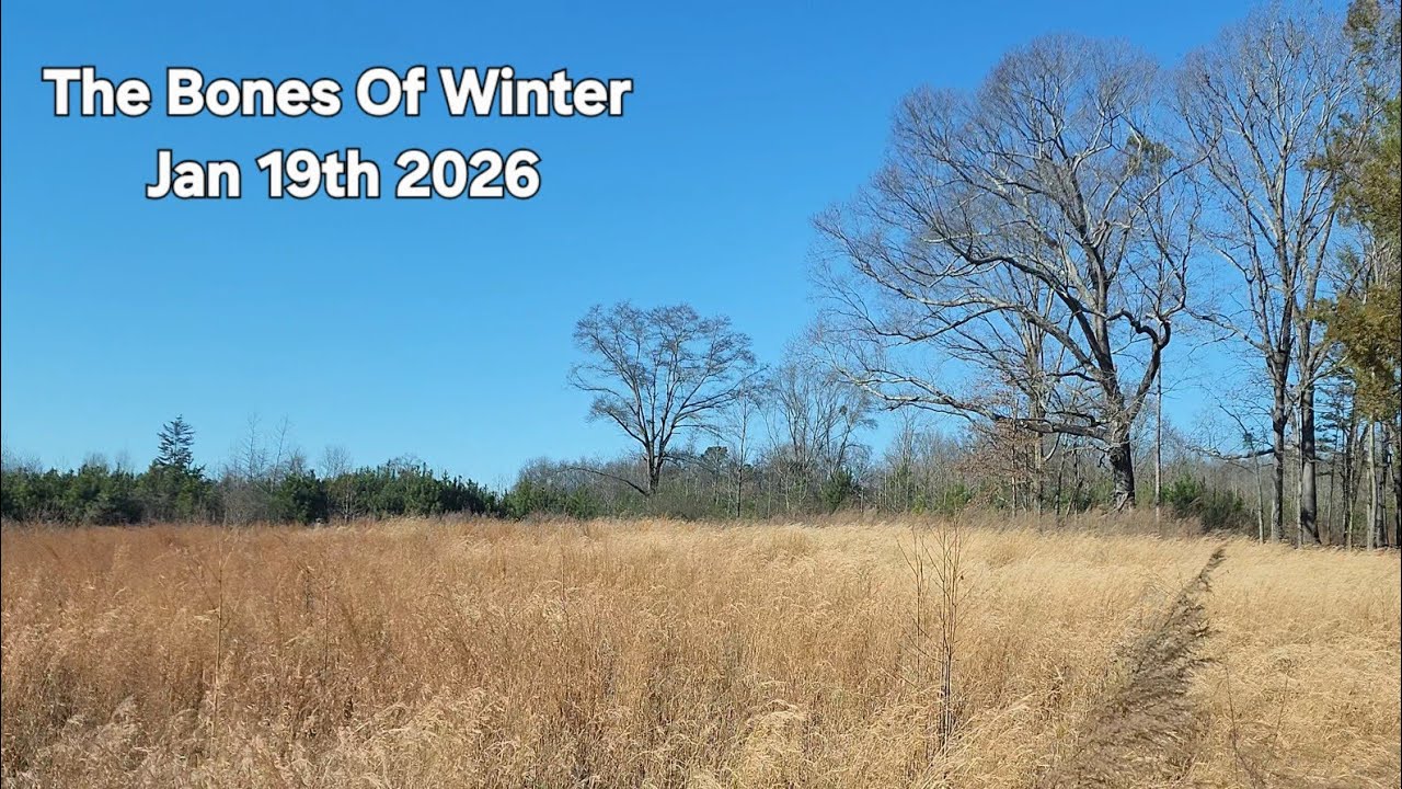 The Bones Of Winter #winter #wintersolstice #wintervideo #wind #solitude #peacefulmoments #youtube