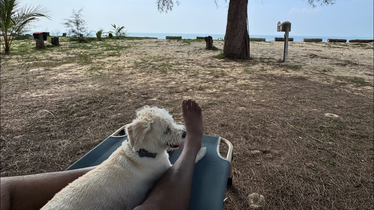 Pet friendly camping