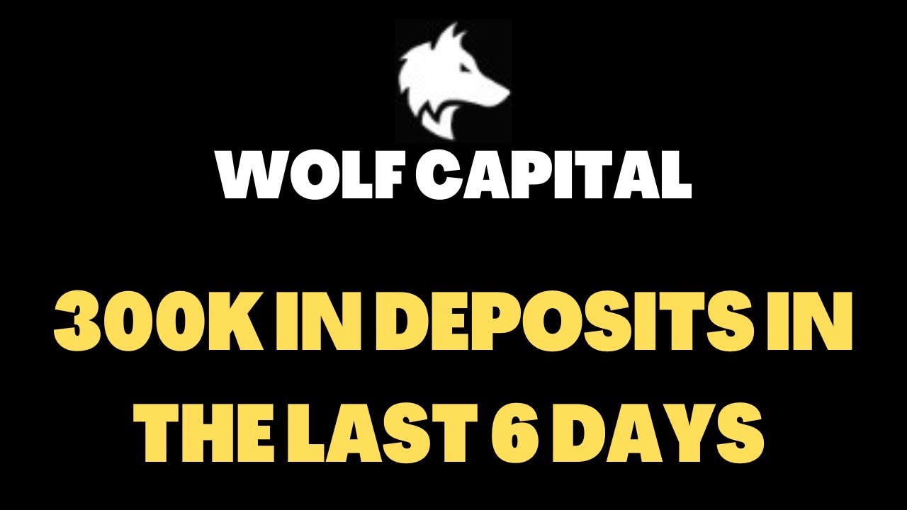 WOLF CAPITAL - THE FASTEST GROWING HIGH ROI PROJECT | CRYPTO DEFI 2023