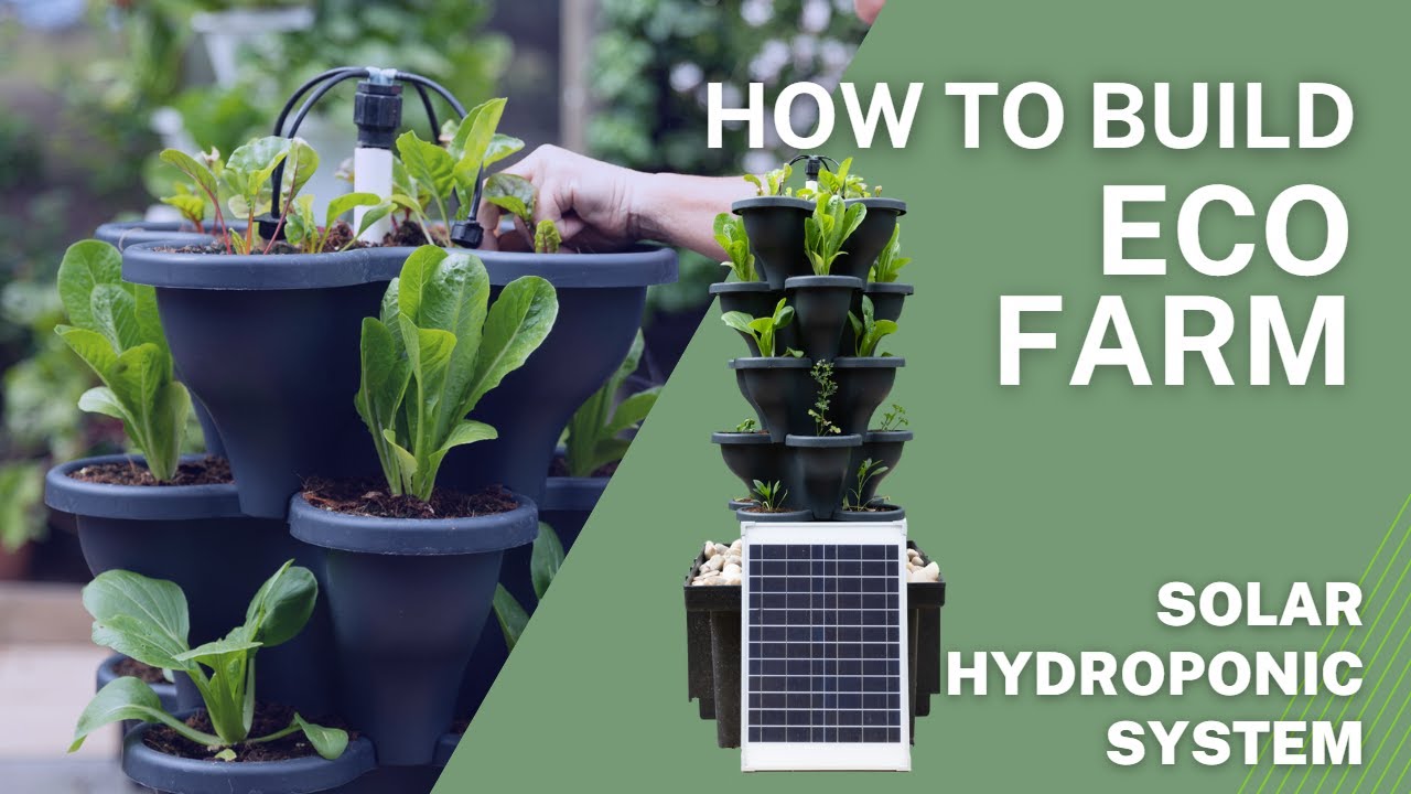 How to build a Single Eco Farm hydroponic vertical farming system from Verti Gro Australia
