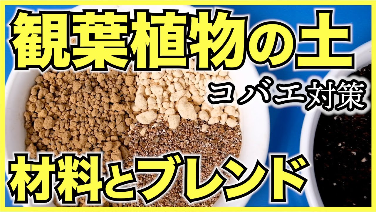 【観葉植物】室内栽培向けのオリジナル培養土の作り方【コバエの発生を減らす】