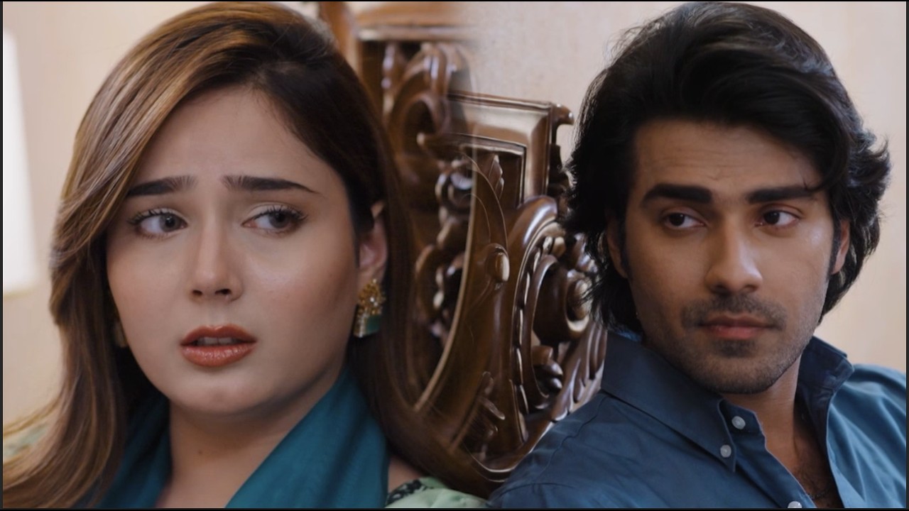 Sab Ko Dafa Karen Hum Khana Khayen Ge #humnava #shortvideos #greentv