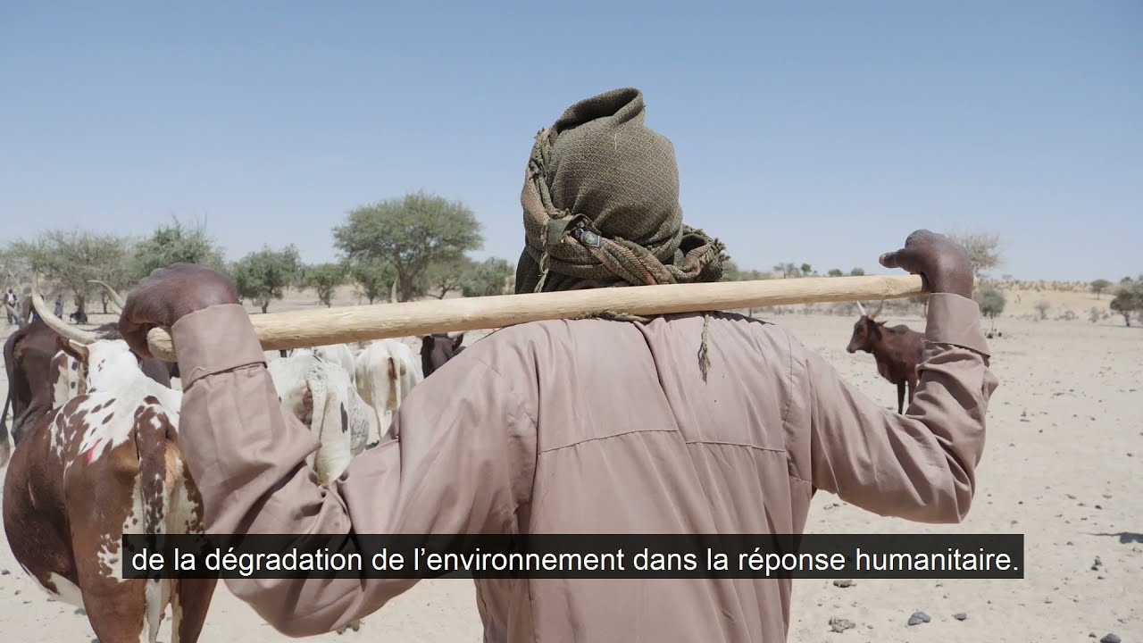 Conflits et changement climatique : quel impact sur les communautés d'éleveurs au Sahel ?