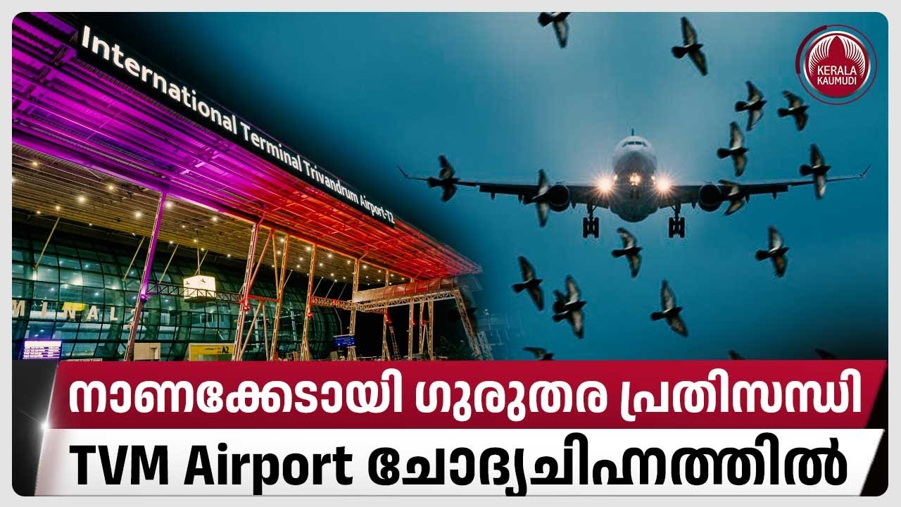 നാണക്കേടായി ഗുരുതര പ്രതിസന്ധി,TVM Airport ചോദ്യചിഹ്നത്തിൽ| Bird strike | Thiruvananthapuram | Threat