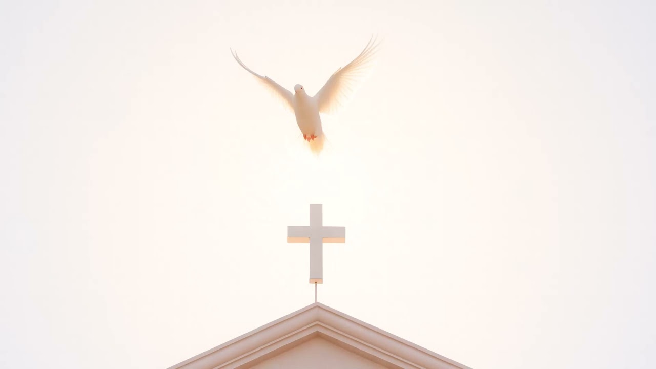 Cleared My Name &ndash; A Gospel Rap Anthem of Justified Freedom (Romans 8:1)