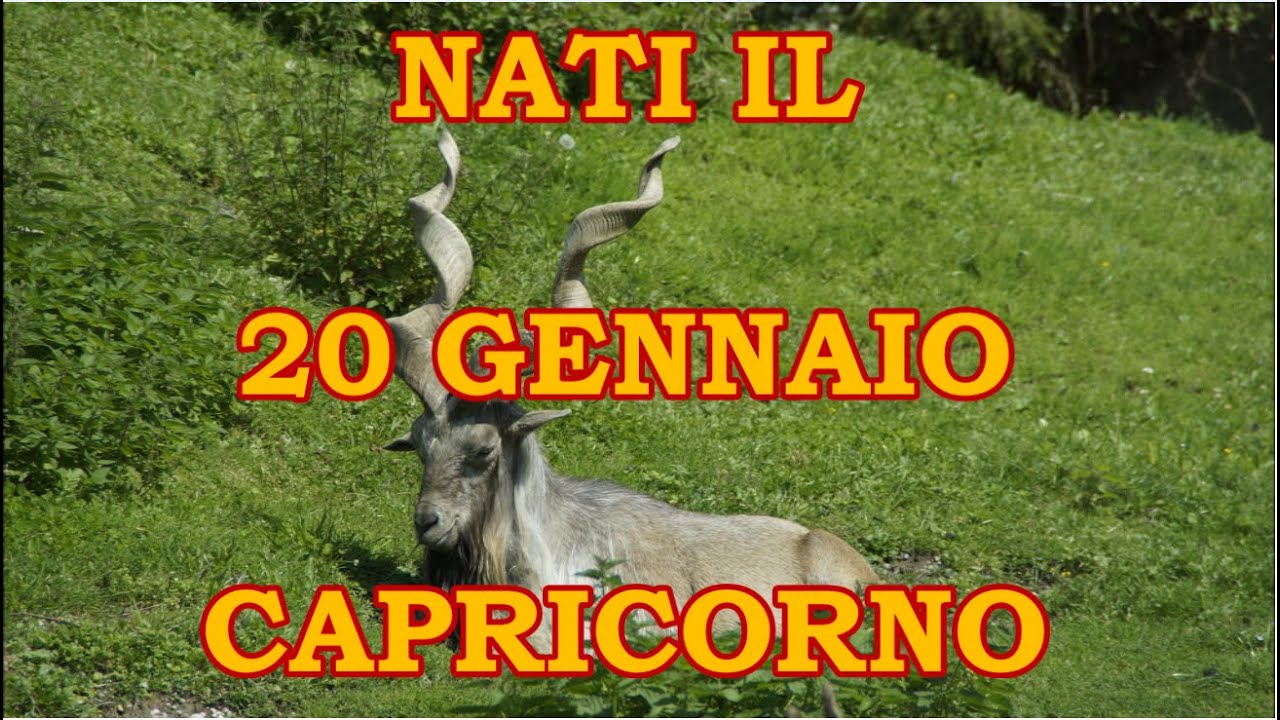 20 Gennaio | Segno Zodiacale Capricorno ♑ | Significato Giorno Di Nascita | Personalit&agrave; Generale