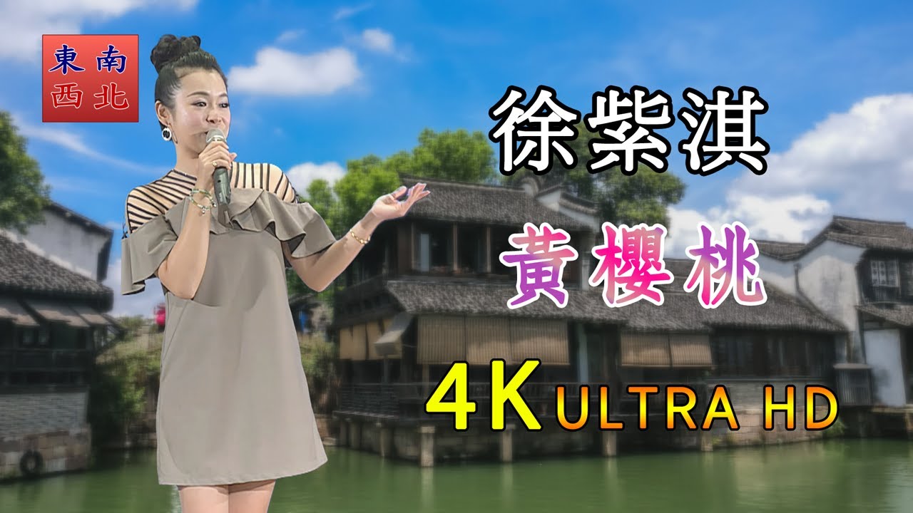 4K台語歌曲 徐紫淇 演唱 黃櫻桃