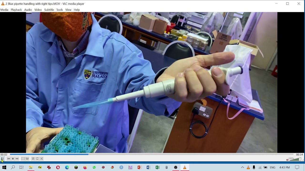 Microbiological techniques: How to handle a blue micropipette (100 - 1000 ul)