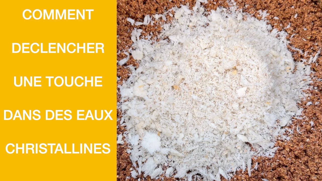 COMMENT DÉCLENCHER UNE TOUCHE DANS DES EAUX CRISTALLINES   4K