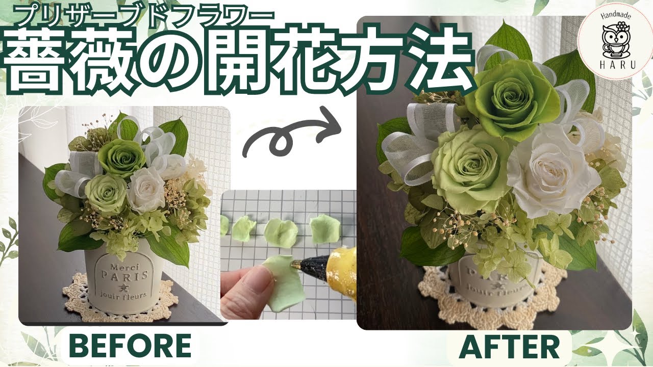 【薔薇の開花方法】プリザーブドフラワー簡単に美しく開げる方法を伝授します♪