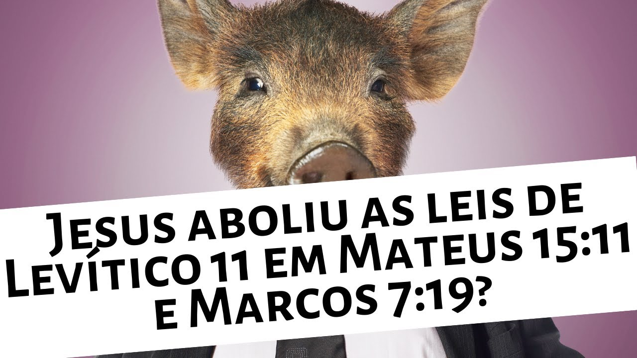Jesus Aboliu as Leis de Levítico 11 em Mateus 15:11 e Marcos 7:19? Carne de Porco - Romanos 15