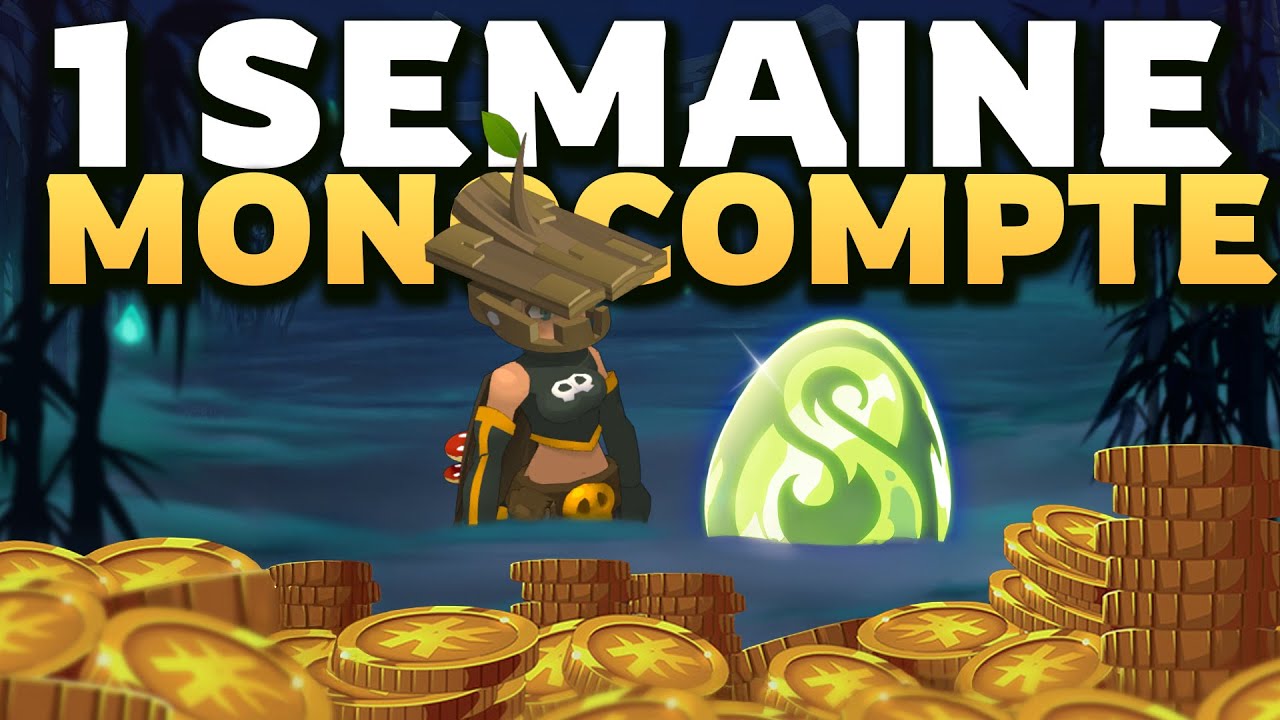 1 SEMAINE en MONOCOMPTE sur DOFUS (Kamas, Stuffs...)