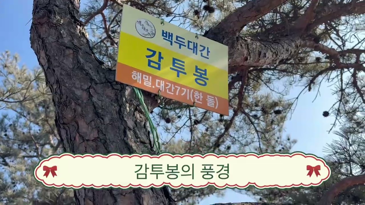 백두대간 저수령-황장산-작은차갓재 산행일기