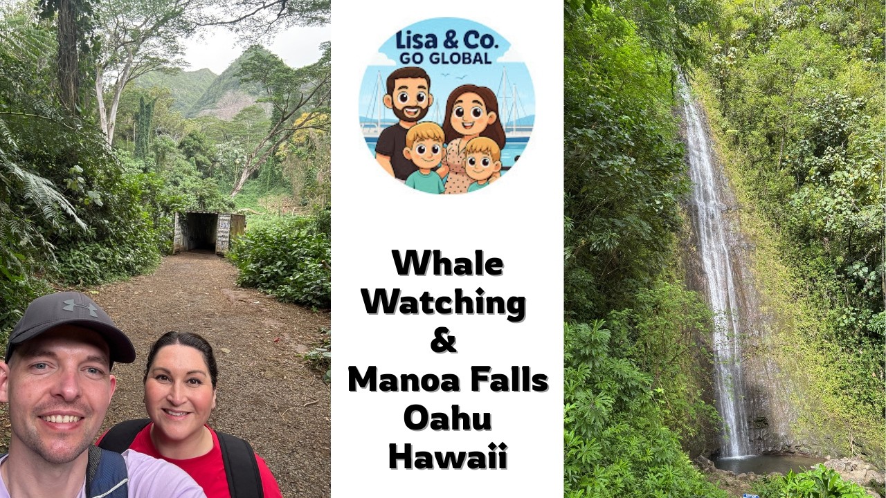 Whale Watching & Manoa Falls Hike, Oahu, Hawaii