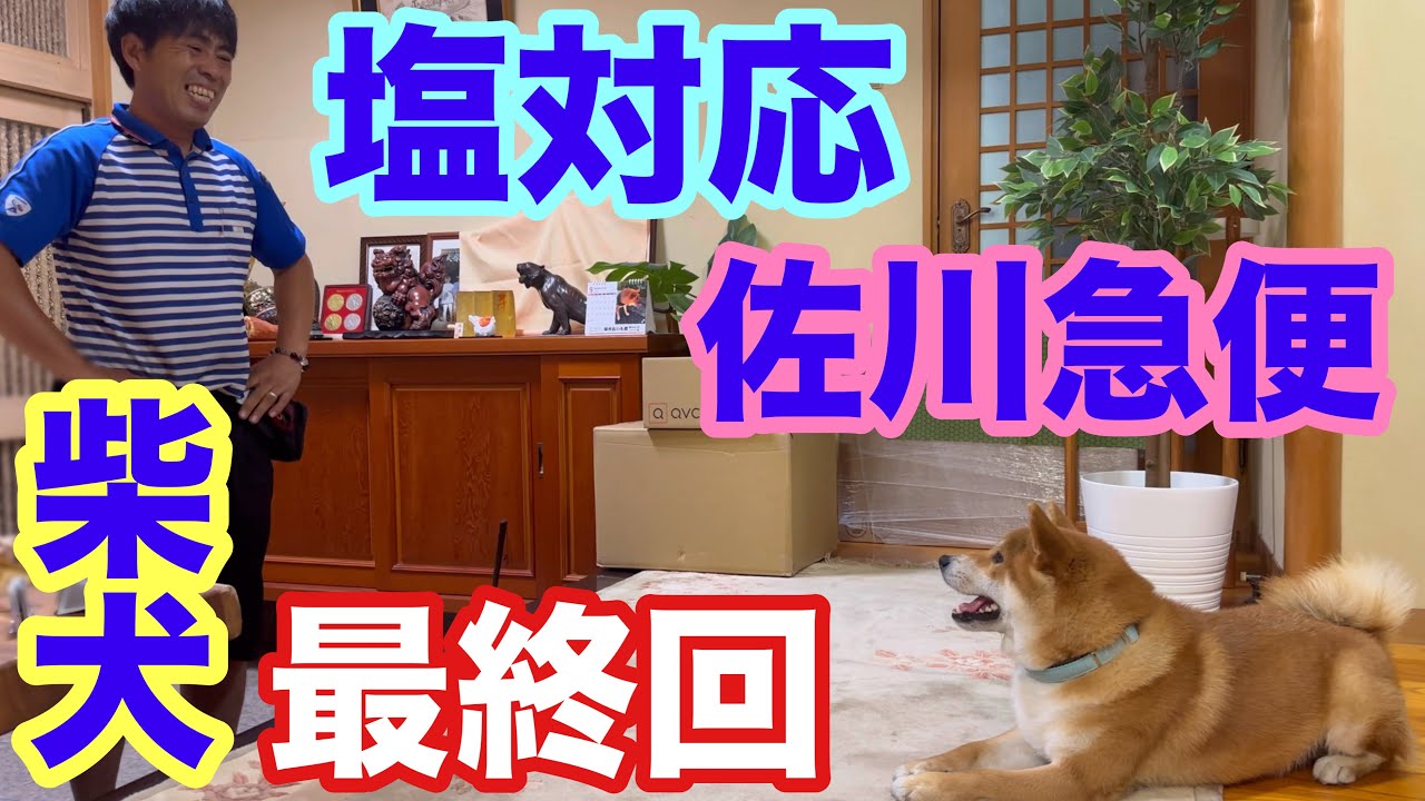 【最終回】佐川急便  塩対応物語 ありがとう塩川さん！