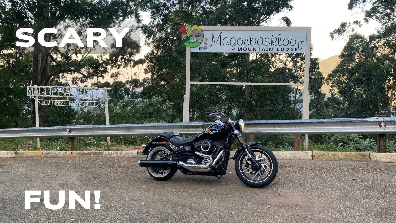 Magoebaskloof Mountain Pass Invasion