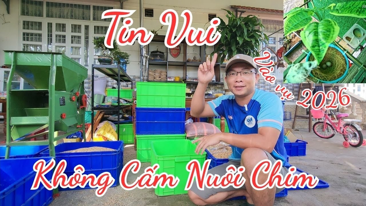 ⭕ TIN VUI - KHÔNG CẤM Nuôi Chim   | Lưu Tam- Birds & Garden Life