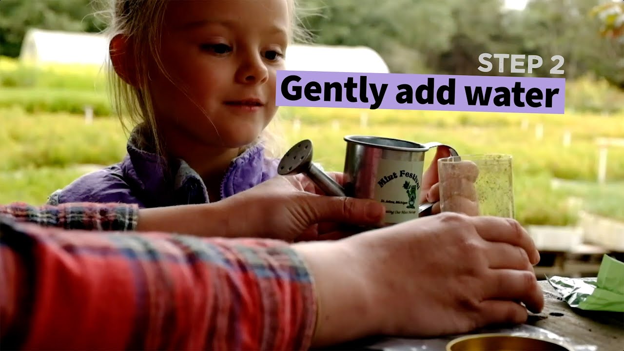Seed Grow Kit Growing Instructions with Summer!