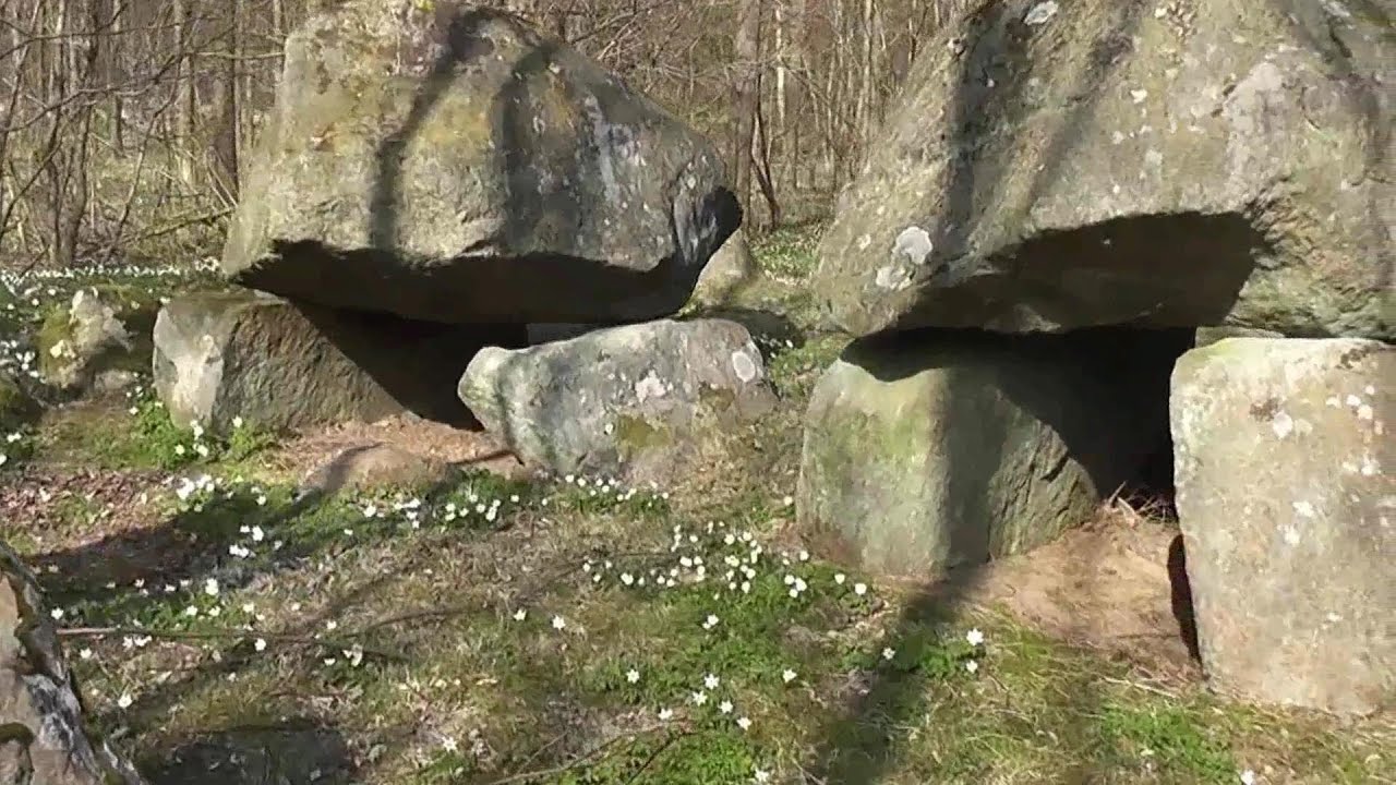 Danmark. Stendysserne i Valby Hegn.