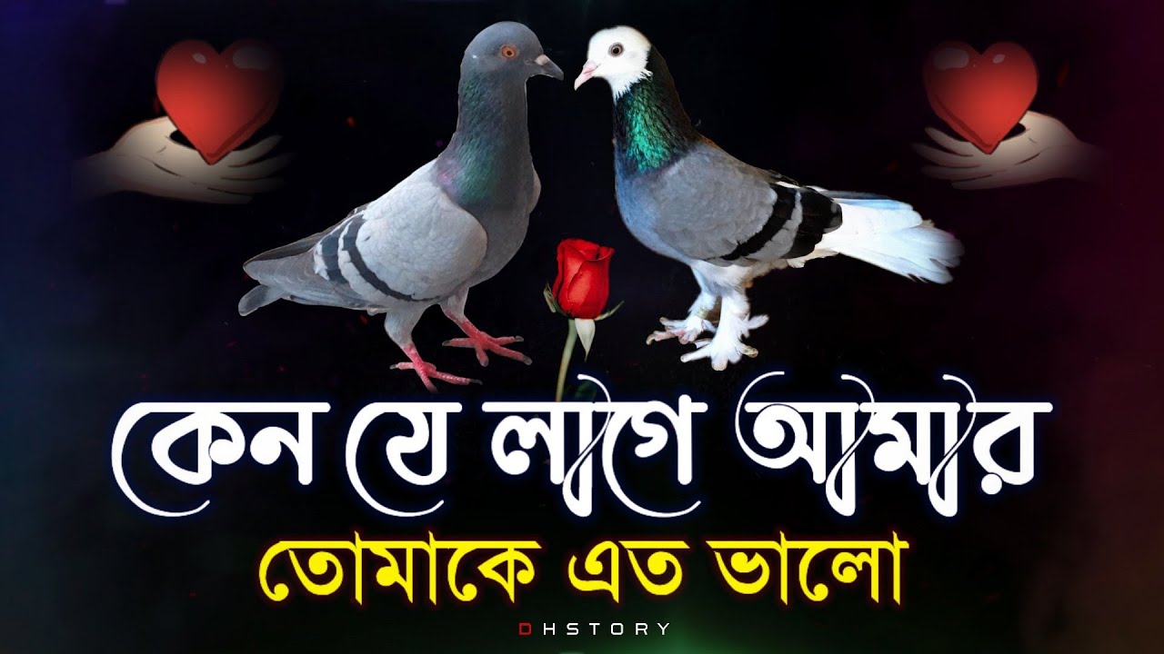 Natun premer shayari | sad love story bangla | shayari bangla | koster sondo