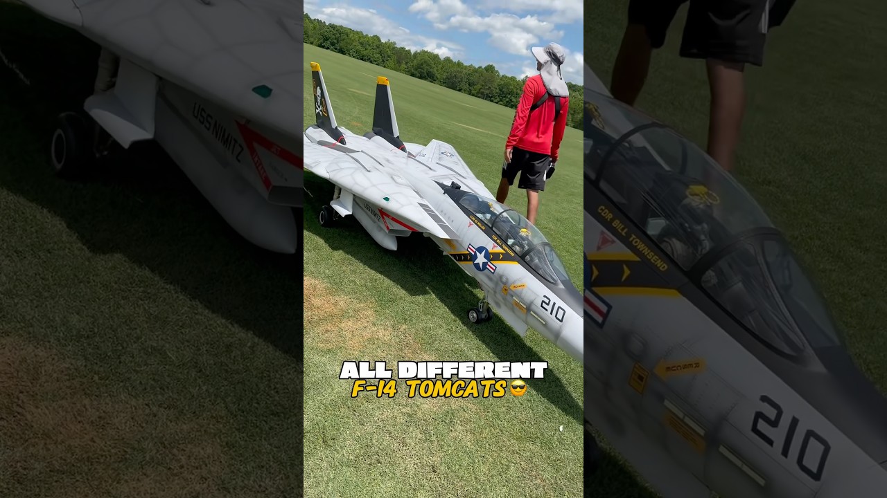 Different size RC F-14 TOMCATS 🔥 MINI➡️MASSIVE