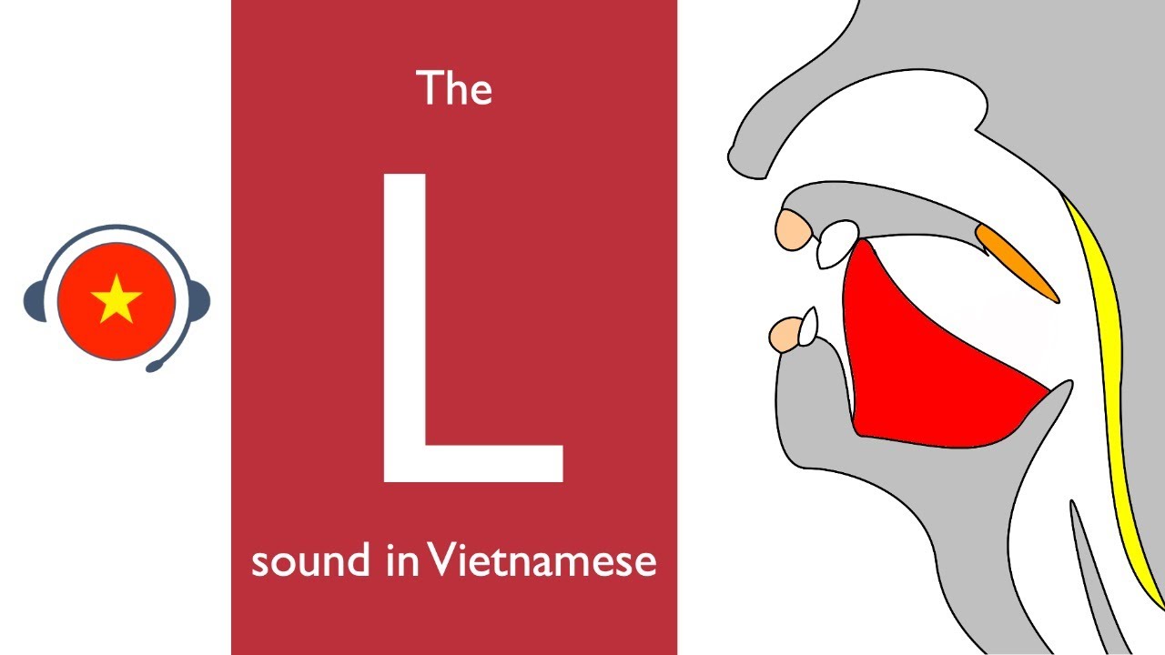 🇻🇳 Vietnamese : L sound. Learn sound system in Vietnamese. Vietsound.