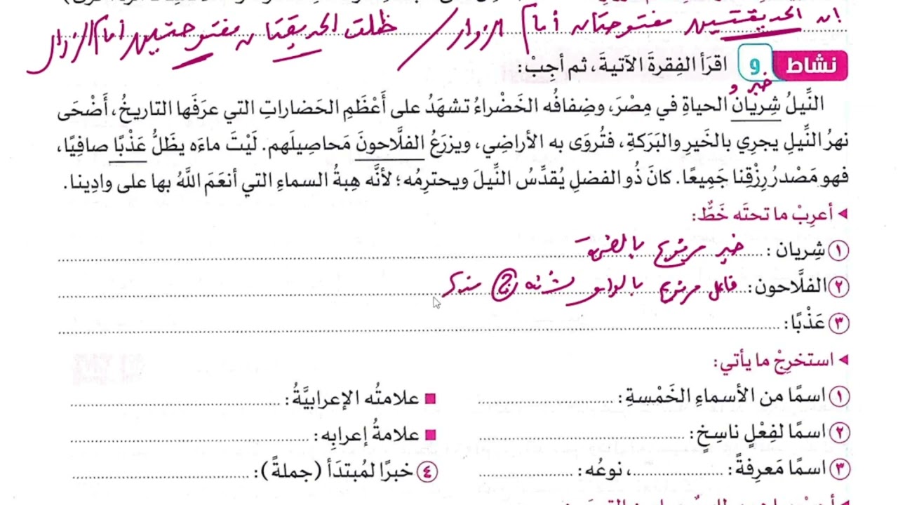 6/ حل كتاب سلاح التلميذ 2026 (درّب نفسك على الإعراب)الترم 2 ، الصف السادس الابتدائي،أ/إسلام الجنايني