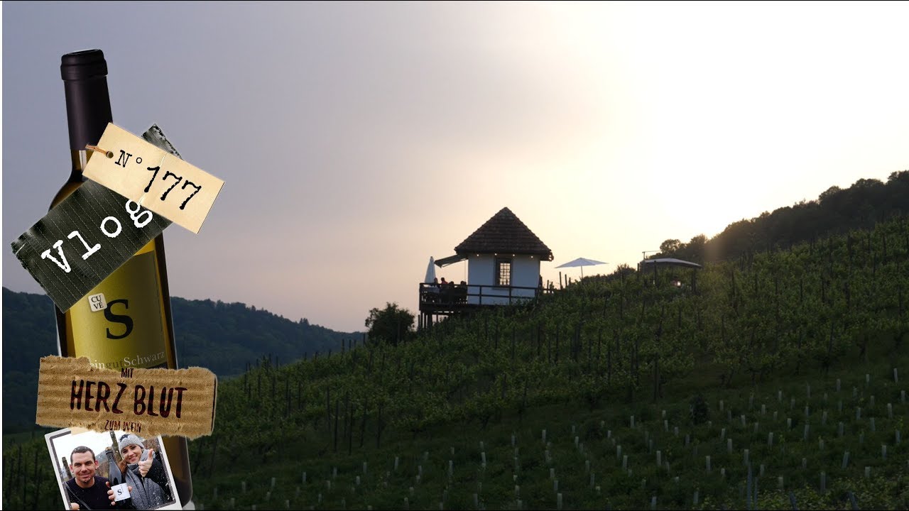 Weinbar mitten im Rebberg | mit Herzblut zum Wein Vlog #177